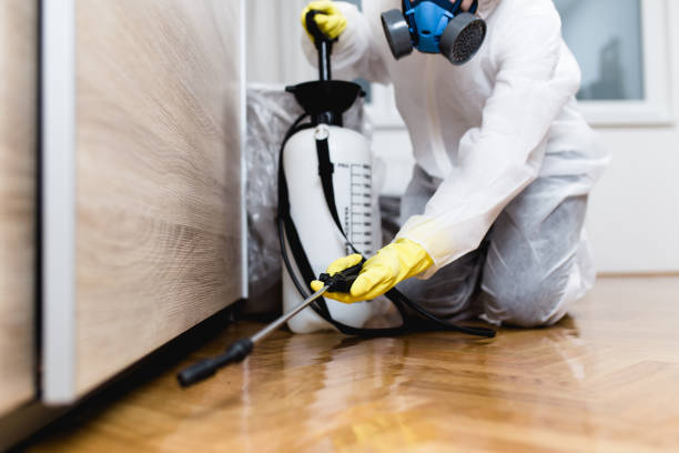 Best Pest Prevention Services  in Island Walk, FL
