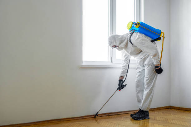 Reliable Island Walk, FL Pest Control Solutions